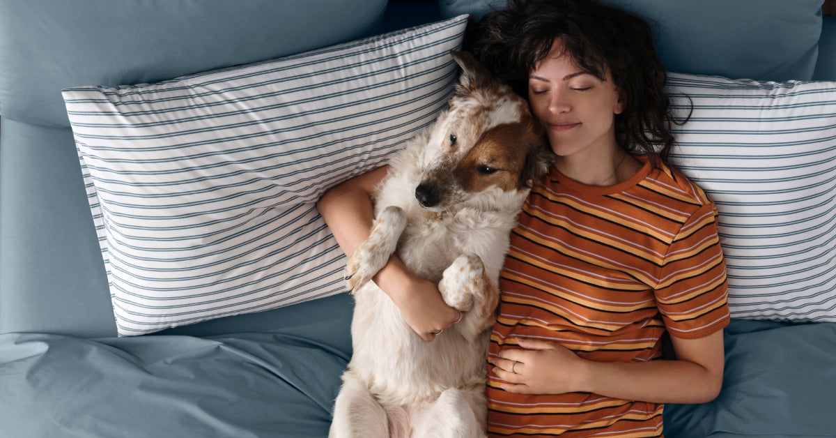 Brooklinen Percale Pillowcase